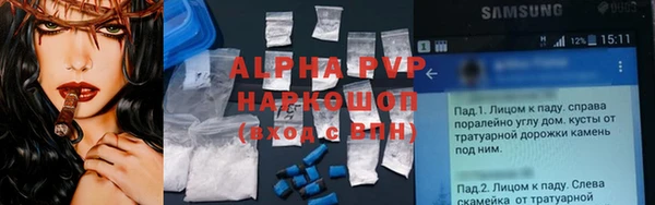 apvp Алзамай