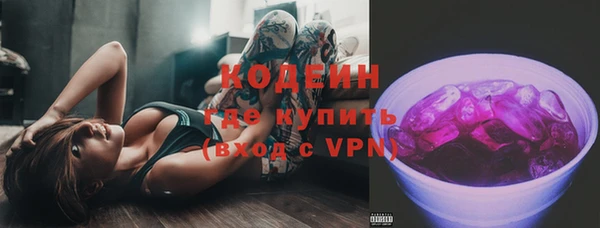 apvp Алзамай