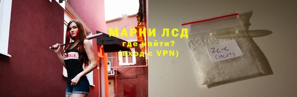 apvp Алзамай